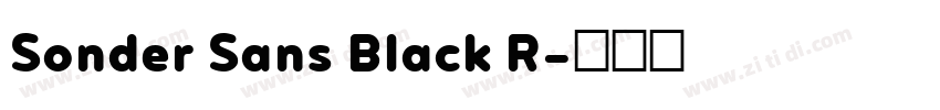 Sonder Sans Black R字体转换